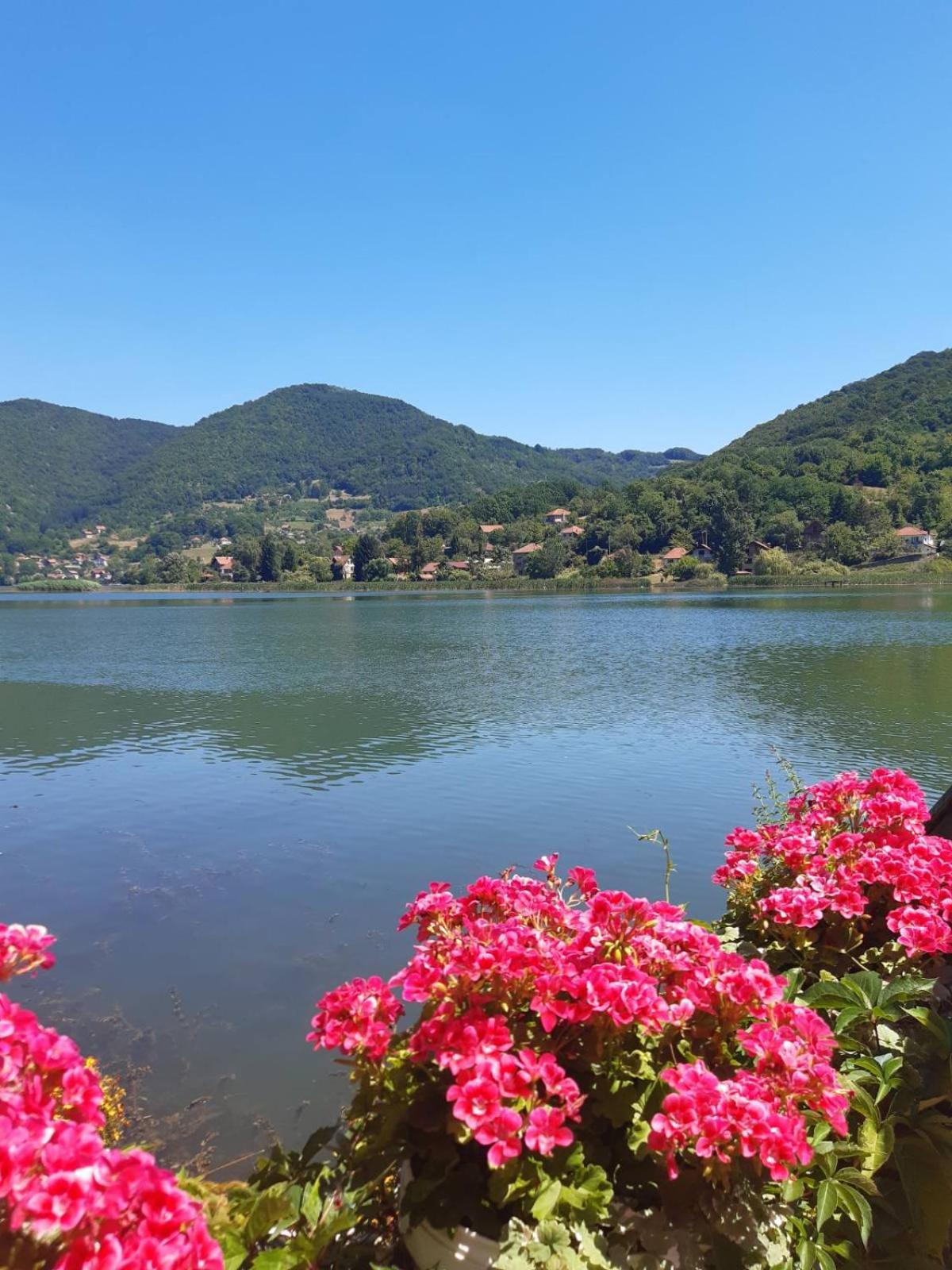Vila Oaza - Zvornicko Jezero Zvornik Exterior photo